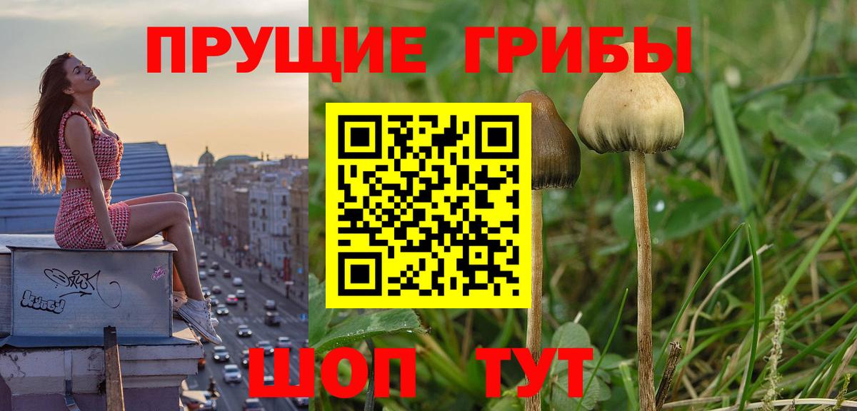 ГАШ  МЕТАДОН  Конопля  Лянтор  Меф   ГАШИШ  Вход с VPN  Где купить  ТГК 